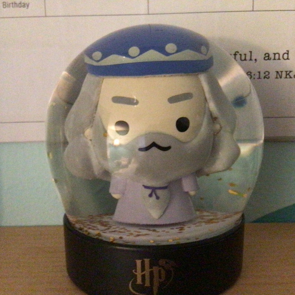 Harry Potter snow globe